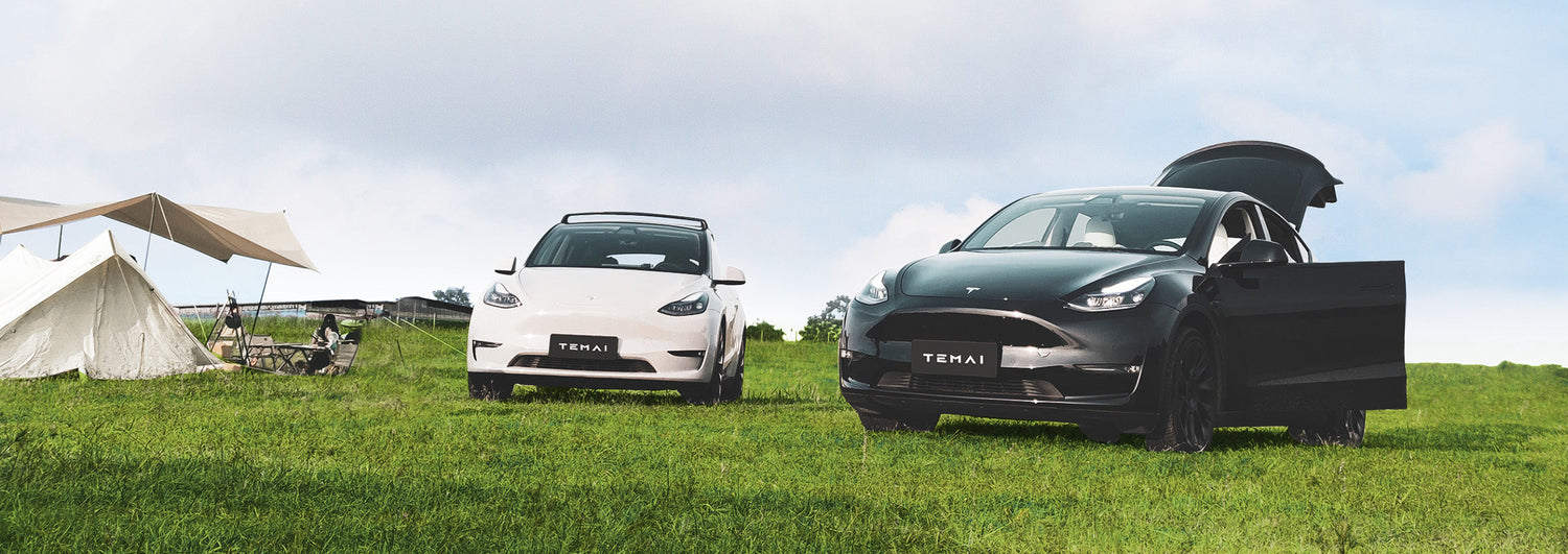 🥳 Black Friday Frenzy Starts EARLY! TEMAI Exclusive Pre-Sale: Score 45% OFF Sitewide Blockbusters NOW!