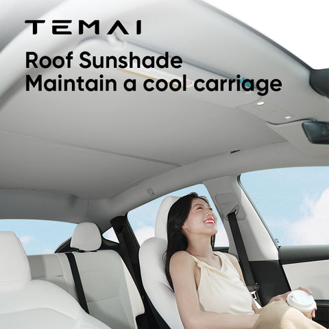 Pare-soleil de voiture TEMAI/pare-soleil Tesla modèle 3/pare-soleil modèle Y/pare-soleil de pare-brise 