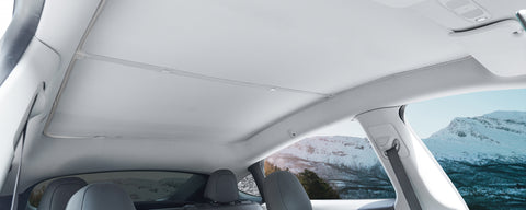 Glass Roof Sunshades